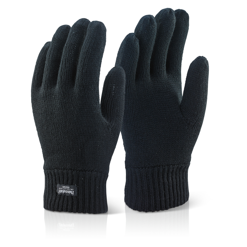Beeswift THG 3M Thinsulate Glove (Pack of 10)-0