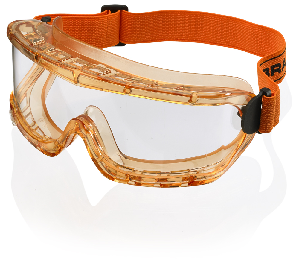 Beeswift BBPG Premium Goggles (Pack of 5)-0