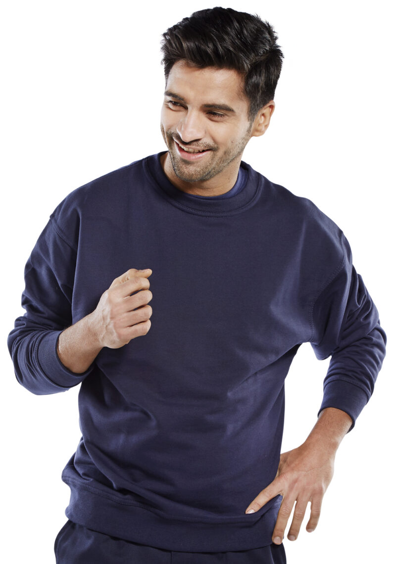Beeswift CPPCS Premium Sweatshirt-9858