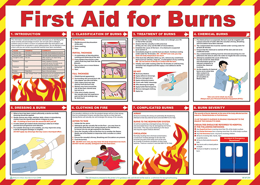 Beeswift BSS13229 First Aid for Burns Poster-0